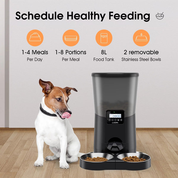 Automatic Food Dispenser - Form&Fur